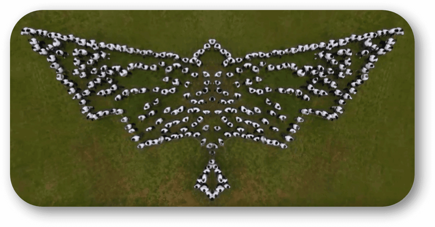 The full Maxellerate workforce arranged into a giant winged formation on an open field, the shape echoing the Montra Electric logo's wing mark, photographed directly overhead